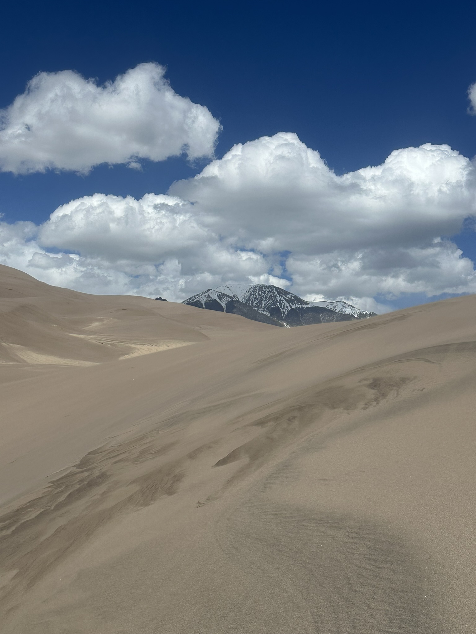 United States-National Parks-Other - Image 2246